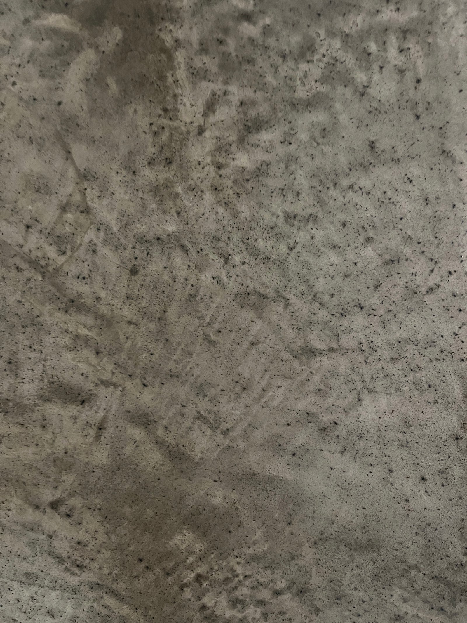 Dunkelgrauer Edelputz mit mineraler Körnung und Handabdrücken, Kalkputzoberfläche