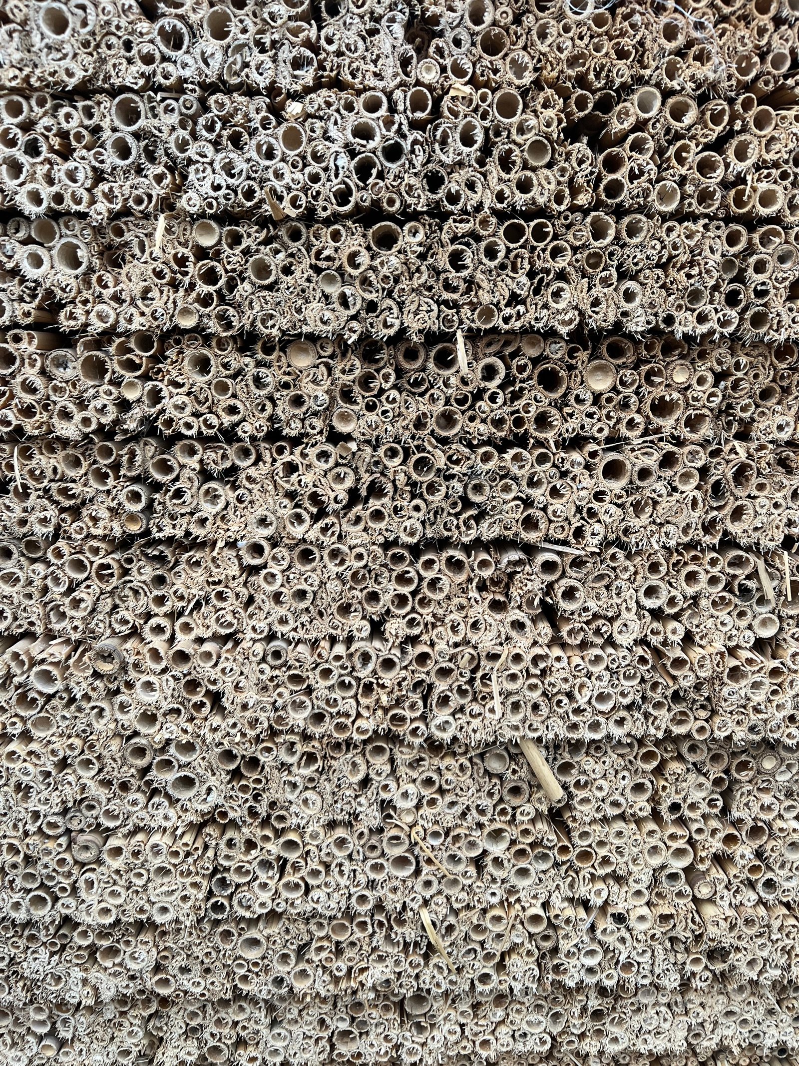 Gartenhaus-Innenraum: Schilfrohrdecke und neues Fenster mit Winterlandschaft