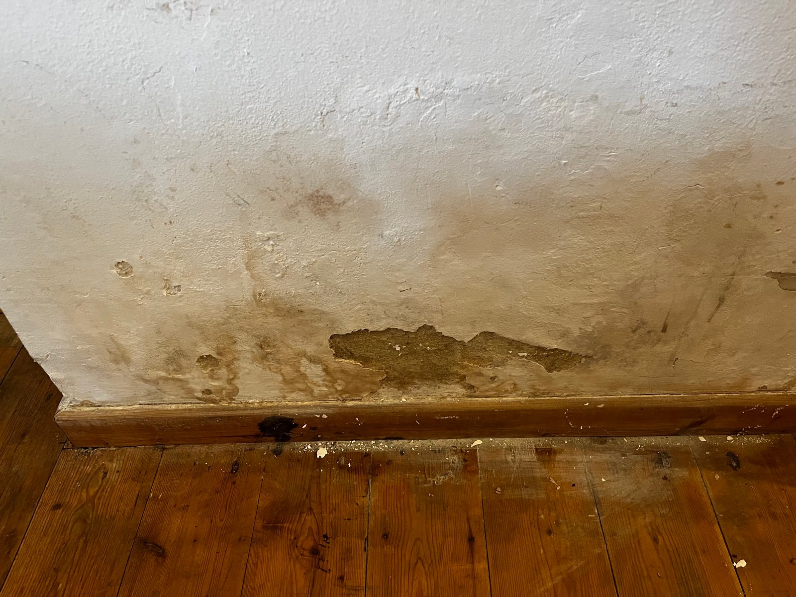 Schimmelschadensbehebung: Bodendielen entfernt, Faulholz und Dämmmaterial freigelegt