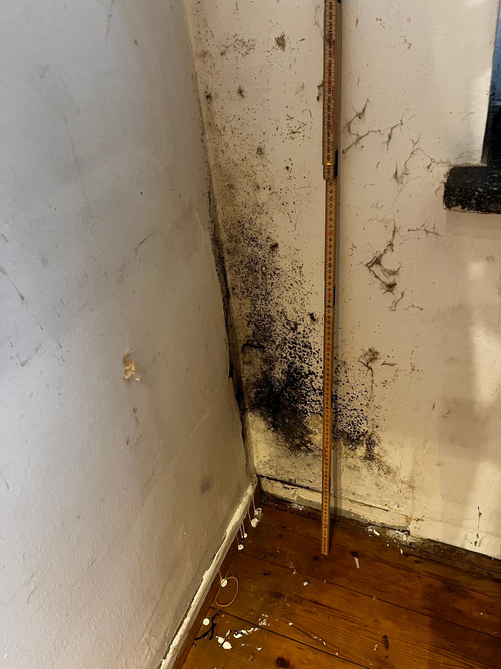 Schimmelschadensbehebung: Holzbodenbalken freigelegt, fauliges Dämmmaterial entfernt