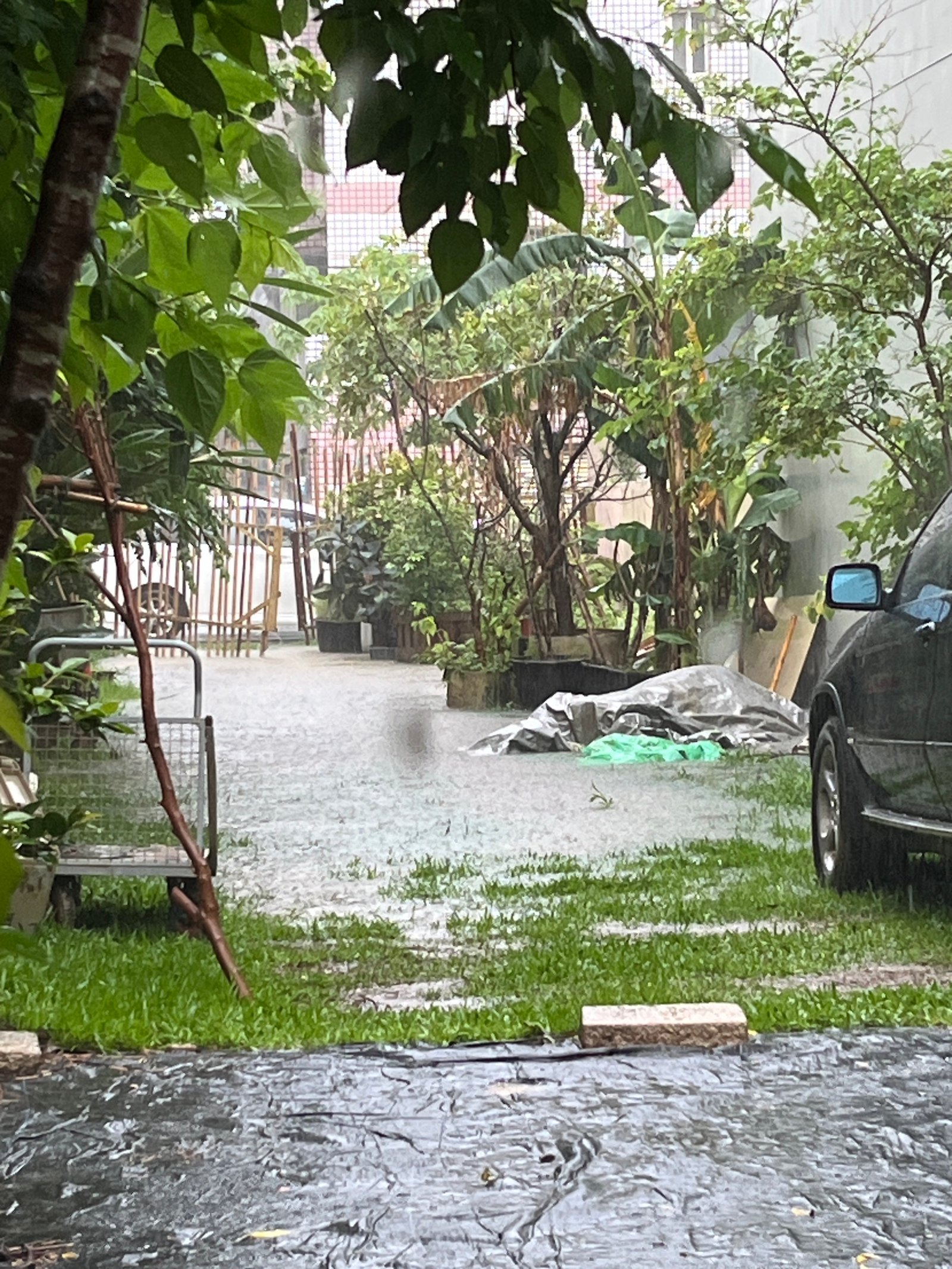 Sturm auf Lehmbaustelle Taiwan: umgestürzte Bäume und Überschwemmung